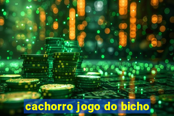 cachorro jogo do bicho